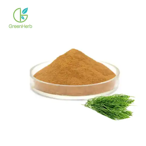 Horsetail Extract Powder